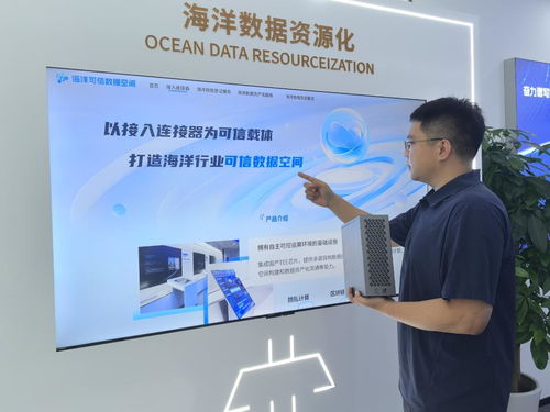 海上新山东 科技兴海，信息技术咨询服务助力蔚蓝发展